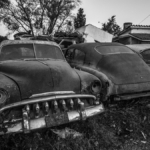 © Fernando Sendra
