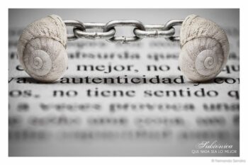 © Fernando Sendra
